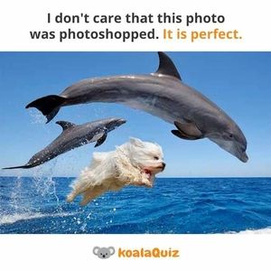 Meet your Posher, Deena